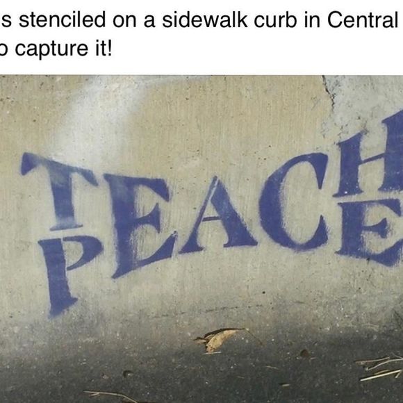 Meet your Posher, Michelle - Picture 1 of 1